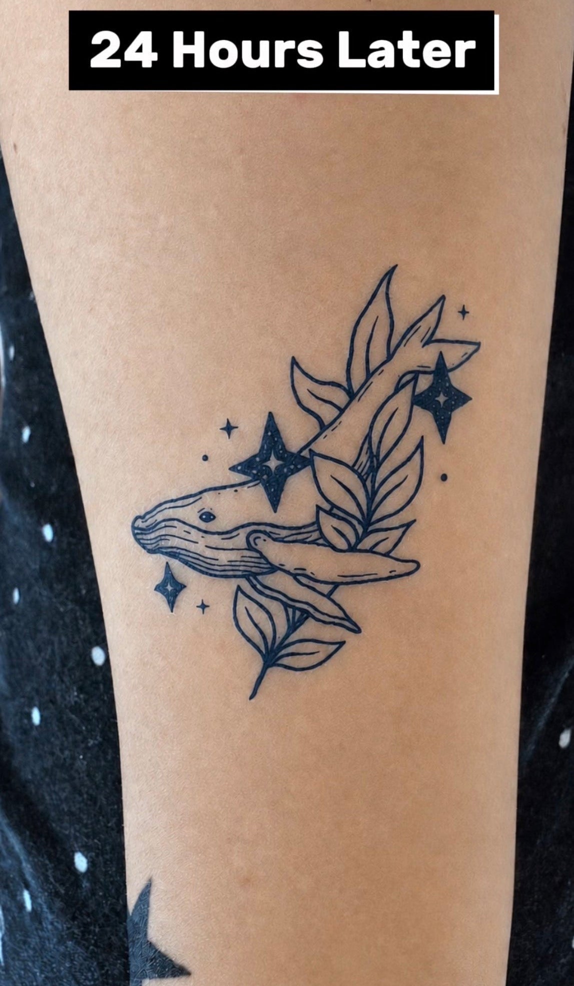 Animal temporary tattoos collection — fine line wildlife designs by Alter Ego Ink