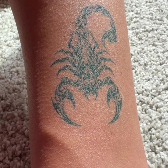 Scorpion temporary tattoo final developed look video — Alter Ego Ink bold fine line real tattoo look