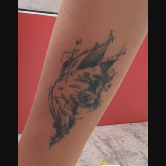 Video showing the Sketch Cat temporary tattoo immediately after application and again 24 hours later, highlighting the natural color development.
