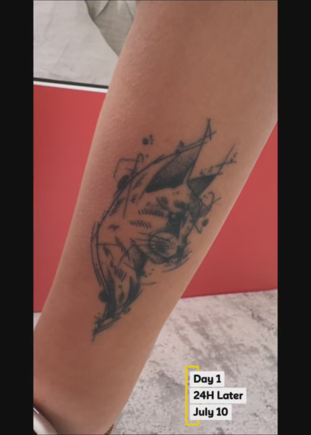 Video showing the Sketch Cat temporary tattoo immediately after application and again 24 hours later, highlighting the natural color development.